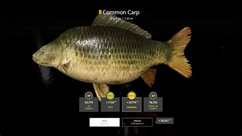 Russia Fishing Kg Trophy Common Carp Amber Lake Th November