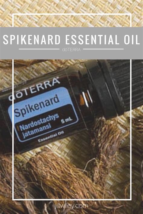 Spikenard Essential Oil • Jill Wiley