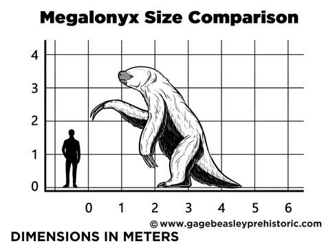 An Ultimate Guide to Megalonyx: The Large Claw - Gage Beasley Prehistoric | Recapping Timeless ...