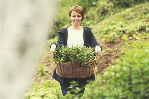 woman gardening view 10963591 Stock Photo at Vecteezy