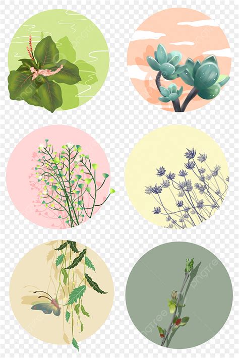 Art Small Plants PNG, Vector, PSD, and Clipart With Transparent ...