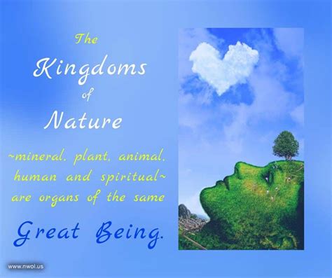 The Kingdoms of Nature are organs of the same Great Being – New Waves ...