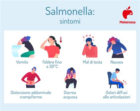 Salmonella Sintomi Come Si Prende Cura E Prevenzione