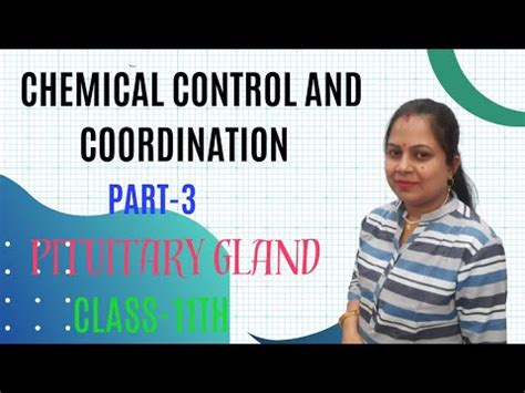 Chemical Control And Coordination Pituitary Gland Class 11th