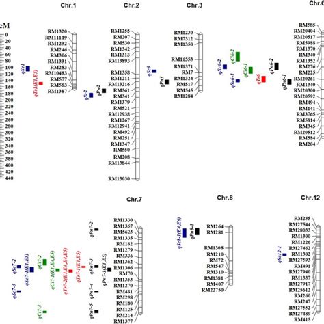 Genetic Linkage Map Showing Qtls For Photosynthetic Related Traits