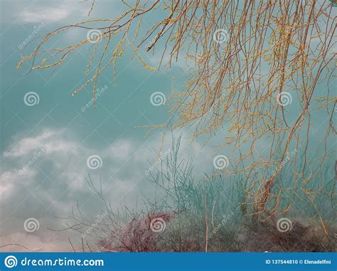 Mountain Lake With Turquoise Blue Water And Reflection Of Branches In