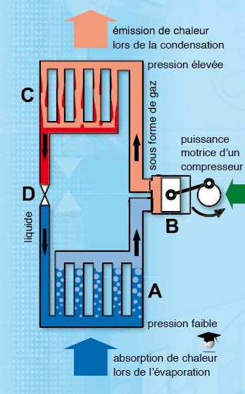 L Installation Frigorifique Fluides Vaporateur