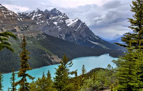 Wallpaper Forest The Sky Trees Mountains Lake Banff National Park