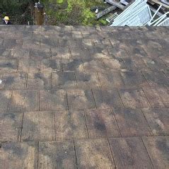 Roof Moss Removal Nanaimo Roof Cleaning Demossing Sweeping Services