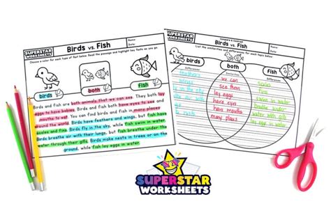 Compare and Contrast Worksheets - Superstar Worksheets