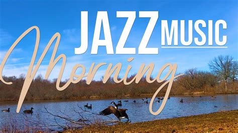 Morning Jazz Music For Positive Energy Geese At The Lake This Is A