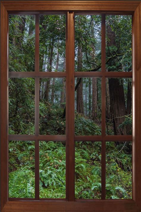 Wall Mural Window, Self Adhesive, Forest Window View-vertical ...