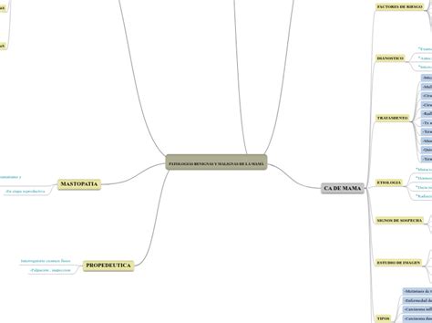 Patologias Benignas Y Malignas De La Mam Mind Map