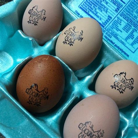 Personalized Egg Cartons Stamp Custom Farm Stamp Chicken Egg Etsy