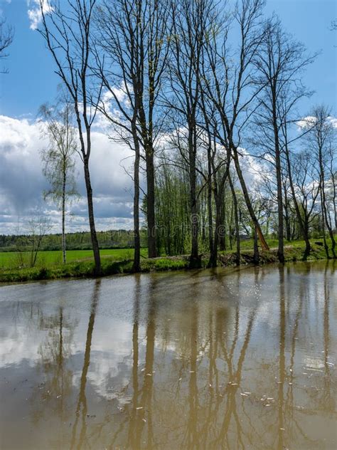 Spring Landscape With Tree Silhouettes Green Grass And A Small Pond