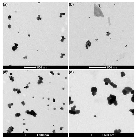 Physicochemical Characterization of the Pristine E171 Food Additive by ...