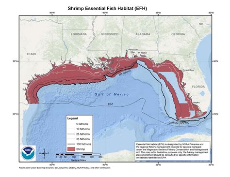 Shrimp Essential Fish Habitat (EFH) Map & GIS Data | NOAA Fisheries