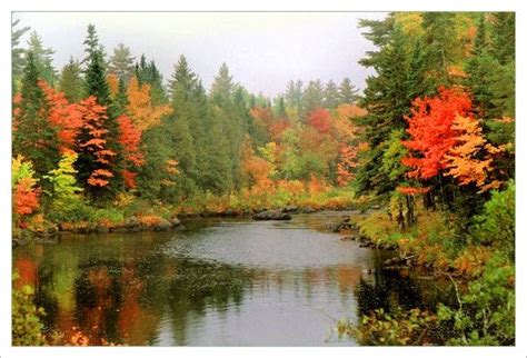 Fall Foliage Photography Tips - Bob Atkins Photography