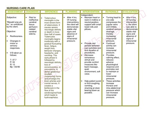 Nanda Nursing Diagnosis Examples Of Nursing Diagnosis CQdv