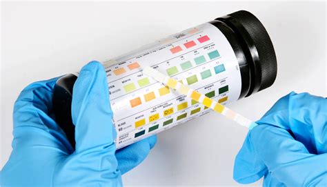 Accuchek Guide Tiras Reactivas Determinación De Glucosa Farmacia Leloir