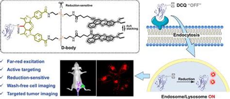 用于靶向和低背景生物成像的还原可激活荧光纳米抗体analytical Chemistry X Mol