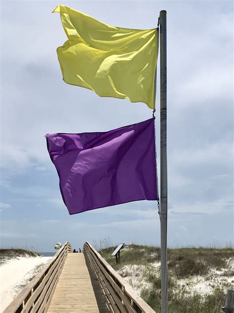 Purple Is An Important Color In The Beach Flag Warning System Leave