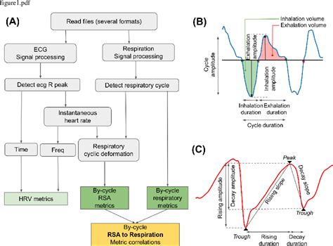 Figure From A Unifying Method To Study Respiratory Sinus Arrhythmia