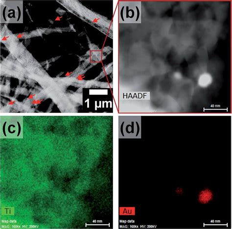 A And B HAADF STEM Micrographs Of Au TiO 2 Nanofibers As Well As