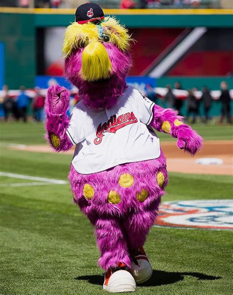 The Best Mascots In Major League Baseball Artofit