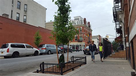 New York Restoration Project Begins Planting Of 825 Trees In The South