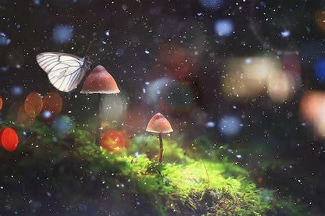 Premium Photo Butterfly On Mushroom In The Forest Magic Picture