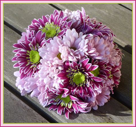 Plantencentrum Vanstraelen Priori Hasselt