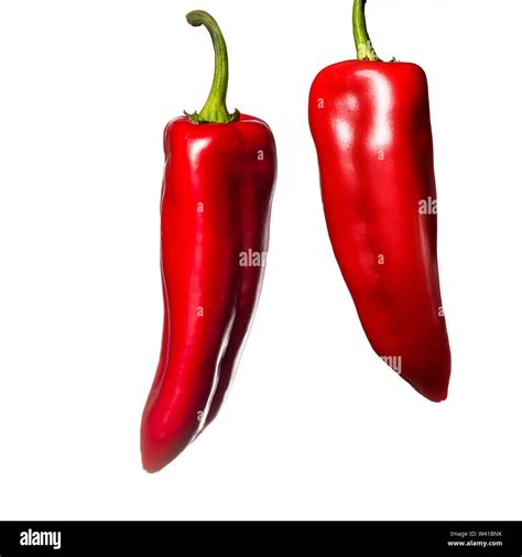 Two hanging red paprika fruit. White background. Vegetables in the ...