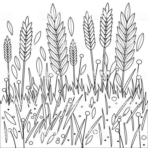 Printable Wheat Coloring Page Printable Word Searches