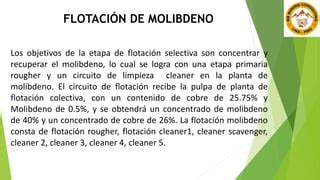 FLOTACIÓN DE COBRE MOLIBDENO pptx