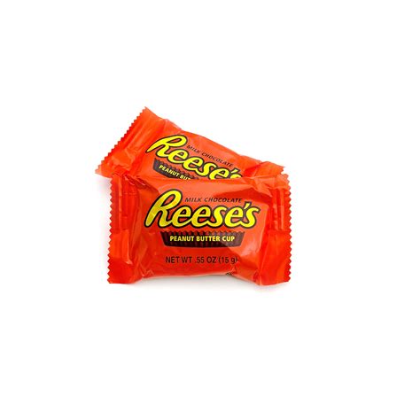 Crazyoutlet Hersheys Reeses Milk Chocolate Peanut Butter Snack Size