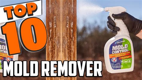 Best Mold Remover In 2024 Top 10 New Mold Removers Review Youtube