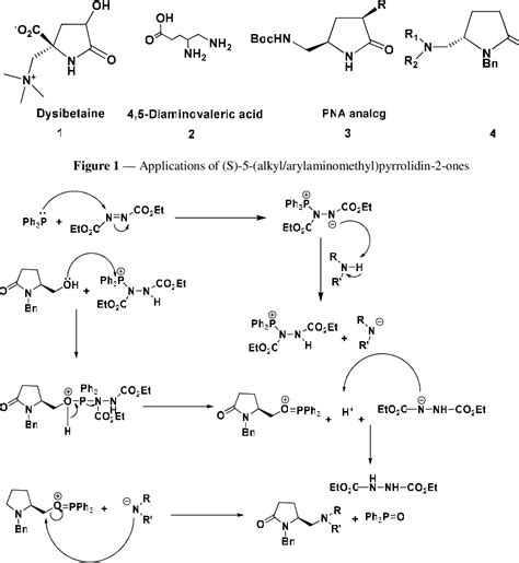 Pdf An Efficient And Straight Forward Strategy For The Synthesis Of