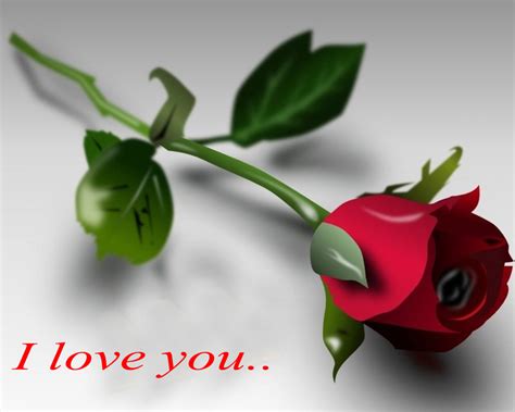 I Love You Rose Wallpapers - Wallpaper Cave