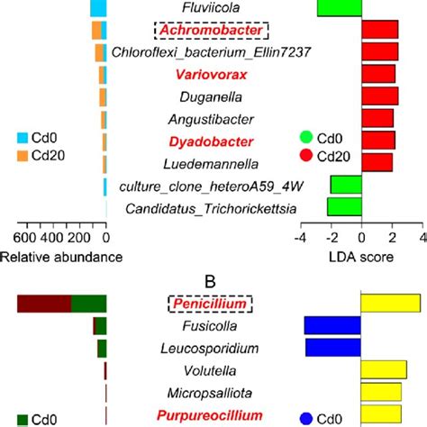 Relative Abundance Of The Dominant Bacteria A And Fungi B At Genus