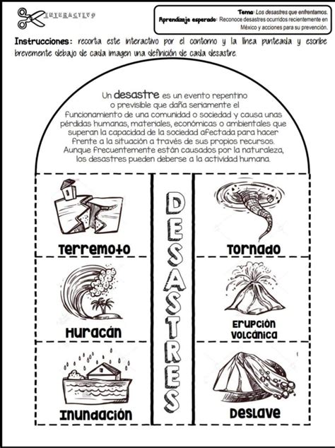 Foldable Los 5 Reinos De Los Seres Vivos Artofit