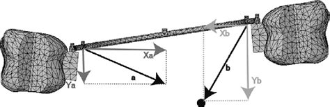 (a) Traction force applied to the right molar. (b) Traction force ... 