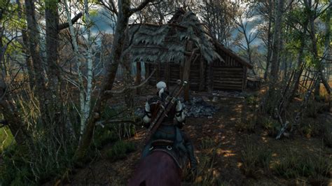 The Witcher 3 Crashes Bugs And Fixes