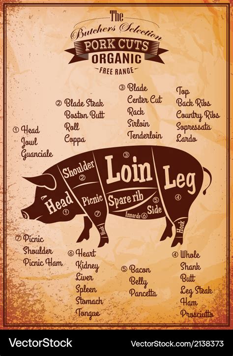 Poster With Detailed Diagram Cutting Pork Vector Image