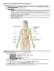 A P Chapter Docx Chapter The Lymphatic System And Immunity