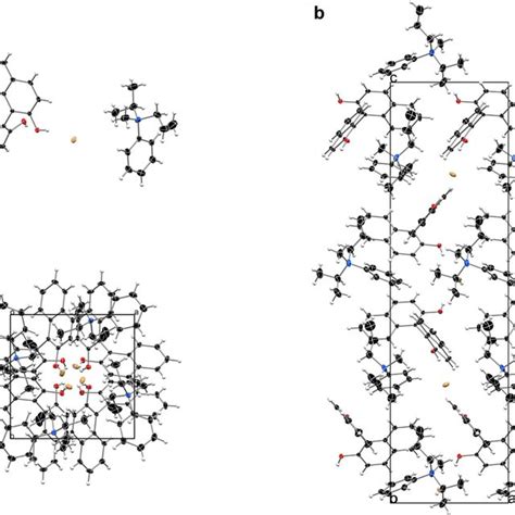 Crystal Structure Of Ternary Complex 2b A The Asymmetric Unit P43