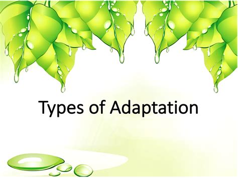 Types of Adaptation | Teaching Resources