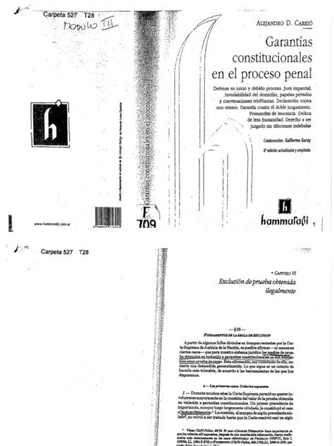 Carrió Alejandro Garantías Constitucionales En El Proceso Penal Págs