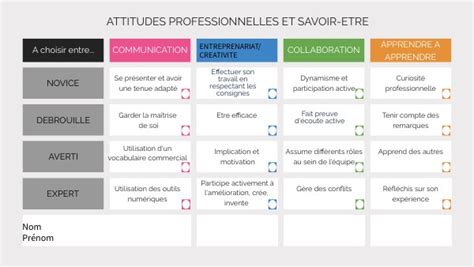 ATTITUDE PROFESSIONNELLE ET SAVOIR ETRE