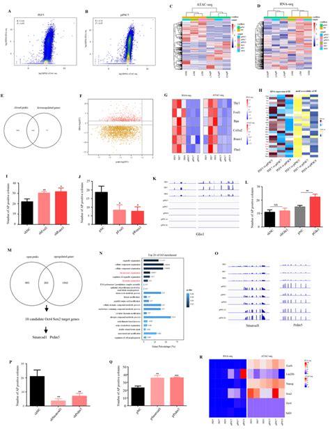 Effect Of Accessible Chromatin On Gene Expression Ab Scatter Plots